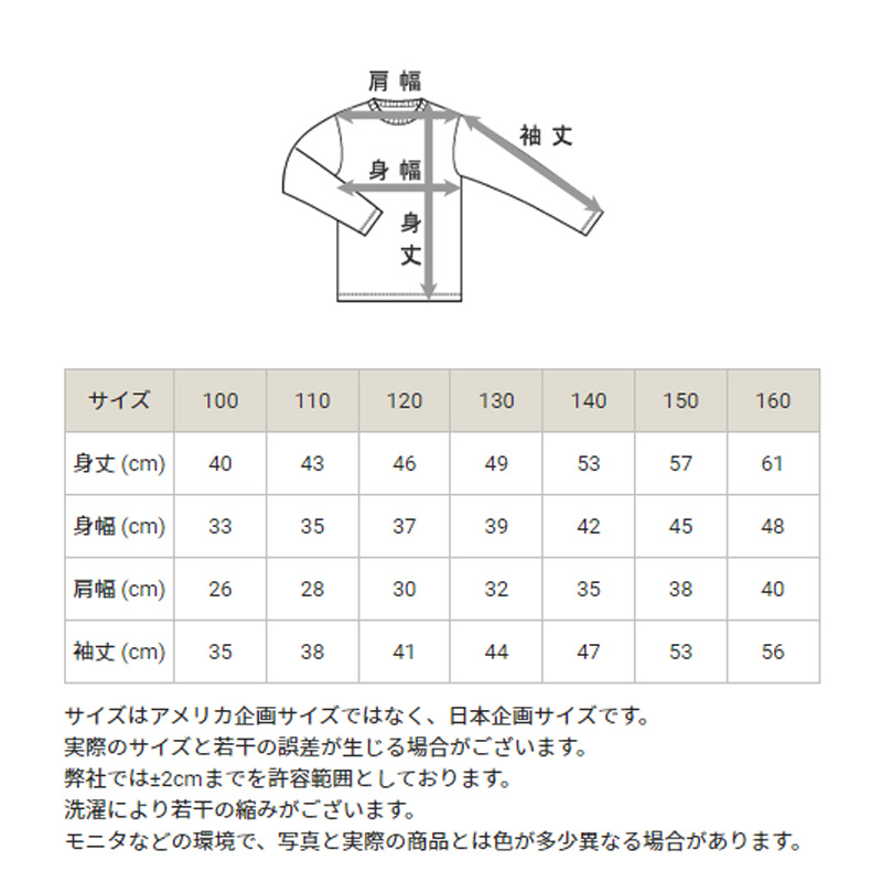 チャンピオン キッズ 裏毛スウェットパーカー 100cm～160cm (champion キッズ ボーイズ ガールズ 子供) (在庫限り)