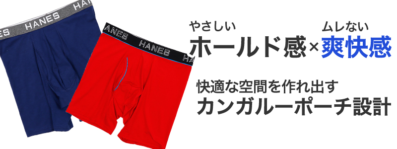 ボクサーブリーフ メンズ 下着 ヘインズ 前開き パンツ ムレ 無地 M L LL Hanes インナー ニオイ 通気性 ボクサー ブリーフ 男性 紳士 メッシュ 伸縮性 ストレッチ