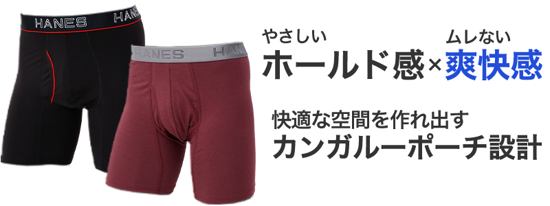 ボクサーブリーフ メンズ 下着 ヘインズ 前開き パンツ ムレ 無地 M L LL Hanes インナー ニオイ 通気性 ボクサー ブリーフ 男性 紳士 メッシュ 伸縮性 ストレッチ