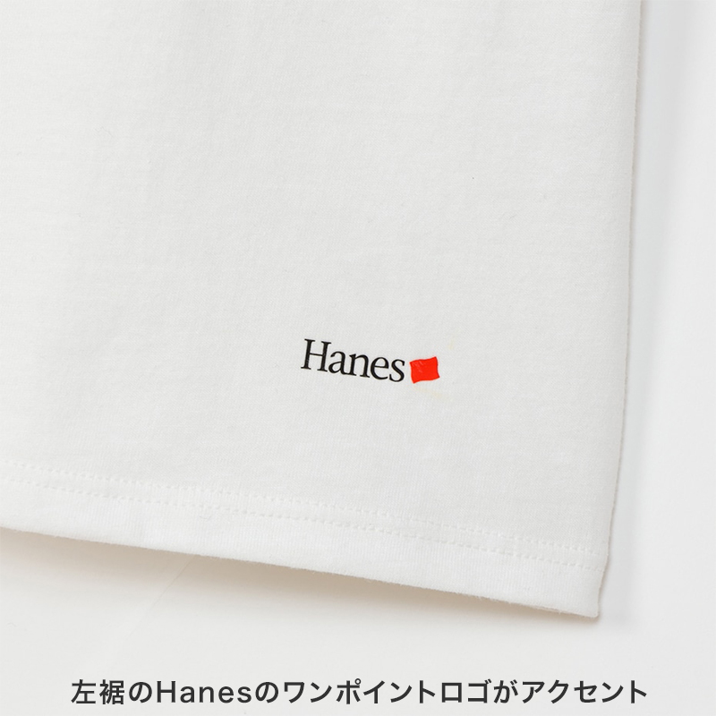 ボクサーブリーフ メンズ 下着 ヘインズ 前開き パンツ ムレ 無地 大きめ 3L 4L 5L Hanes インナー ニオイ 通気性 ボクサー 男性 メッシュ 伸縮性 ストレッチ