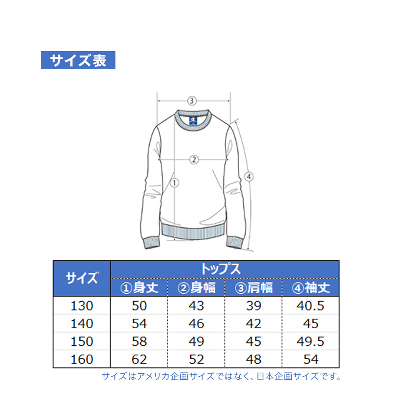 ヘインズ BEEFY ビーフィー メンズ サーマル ヘンリーネック ロングスリーブ S~XL Hanes ワッフル生地 ヘビーウェイト トップス 長袖Tシャツ 男性 丈夫 無地 BEEFY-T