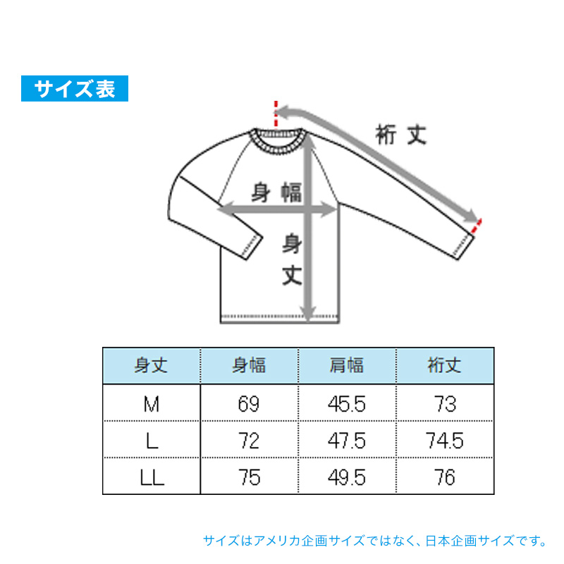Hanes ヘインズ メンズ モックネック 長袖Tシャツ 裏フリース ブロックフリース 吸汗速乾 ストレッチ 保温 タグレス ロンT カットソー トップス インナー 防寒 秋冬 スポーツ M~LL トレーニング アクティブウェア 普段着 重ね着 Hanes MOVES
