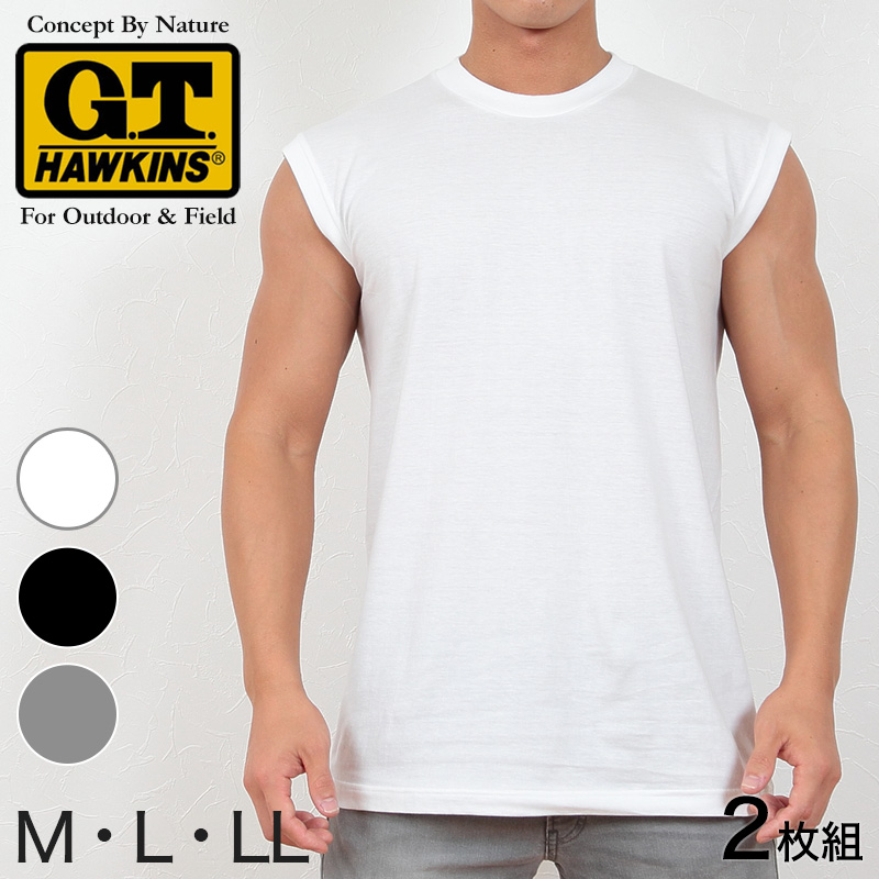 グンゼ G.T.HAWKINS 綿100% VネックTシャツ 2枚組 M～LL (GUNZE GTホーキンス メンズ 下着 Tシャツ tシャツ 半袖 男性 紳士 V首 肌着 インナー M L LL)