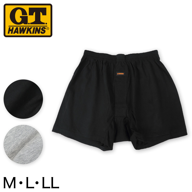 グンゼ サーフシャツ メンズ 綿100% 肌着 2枚組 M～LL (G.T.HAWKINS GTホーキンス 男性 紳士 シャツ スリーブレス セット ノースリーブ インナー M L LL)