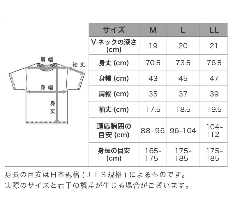 ヘインズ シャツ ビズ魂 メンズ 深Vネック Tシャツ 2枚組 M～LL (Hanes BIZ DAMASHII 抗菌防臭 吸汗速乾 深V 長め丈) (在庫限り)