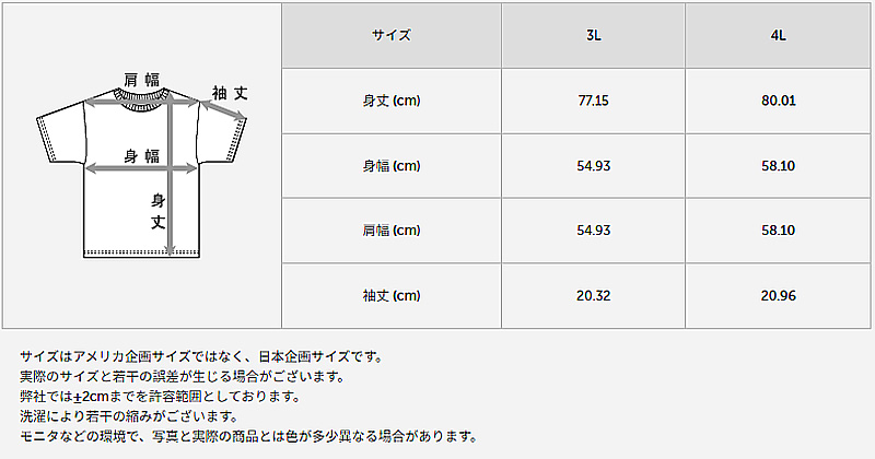 ヘインズ メンズ 半袖 Tシャツ 2枚組 3L～5L (インナーシャツ 大きいサイズ 3l 4l 5l 下着 白 無地 肌着 インナー シャツ メッシュ クルーネック hanes)