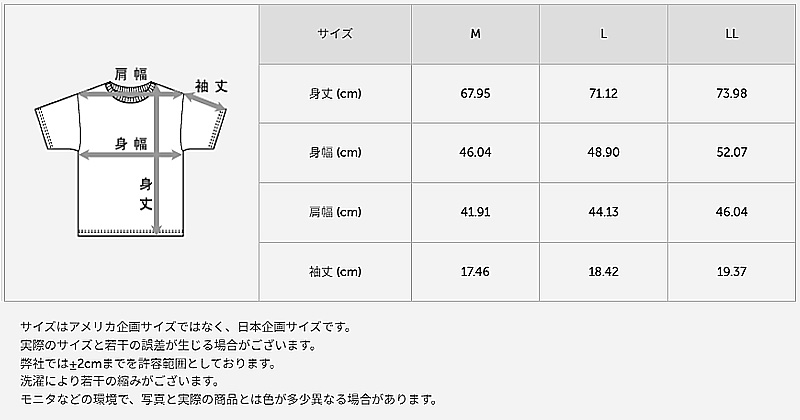 ヘインズ 部活魂 クルーネックTシャツ 2枚組 M～LL (Hanes メンズ 下着 肌着 tシャツ シャツ インナー 半袖 丸首 速乾 メッシュ スポーツ M L LL)