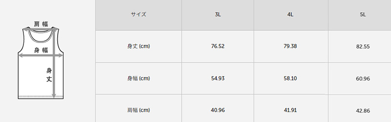 ヘインズ シャツ 部活魂 メンズ ノースリーブ Vネックシャツ 2枚組 3L～5L (Hanes BUKATSU DAMASHII 吸汗速乾 軽さらメッシュ 軽量ドライ 通気性 ハードスポーツ 大きいサイズあり 大きめ 3L 4L 5L)