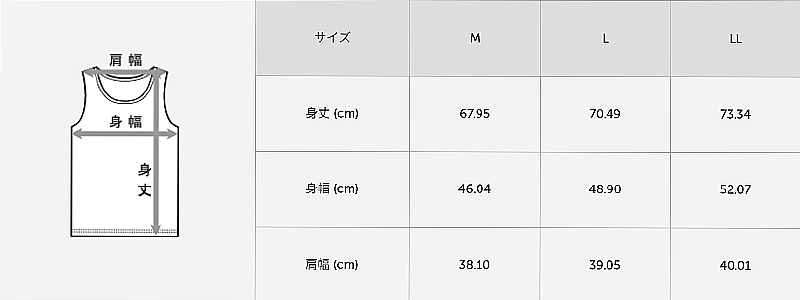 ヘインズ 部活魂 メンズ ノースリーブ Vネックシャツ 2枚組 M～LL (Hanes 男性 紳士 下着 肌着 V首 シャツ インナー 吸汗速乾 メッシュ 通気性 スポーツ M L LL)