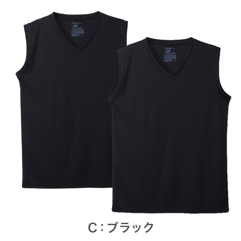 ヘインズ Tシャツ メンズ 2枚組 メッシュ 半袖 クルーネック 吸汗速乾 抗菌防臭 通気性 パックT ドライTシャツ インナー M～LL カジュアルTシャツ スポーツ 快適 Hanes MOVES