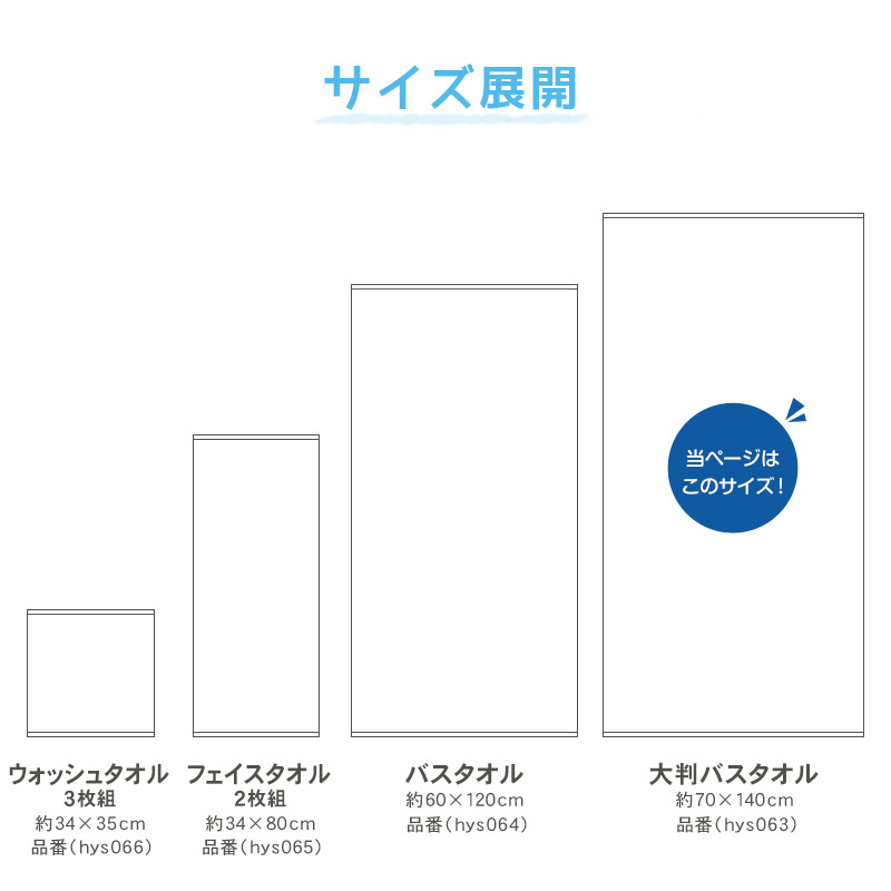 風呂敷 二四巾 10枚組 約88cm×88cm (紫 ふろしき ナイロン にしはば グラデーション 無地)