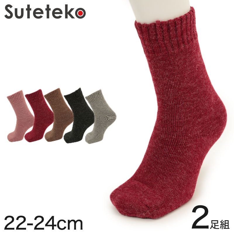 靴下 レディース 暖かい 裏起毛 セット 2足組 22-24cm (あったかソックス 厚地 秋 冬 女性 防寒 保温 冷えない ソックス くつ下 あったか パイル) (在庫限り)