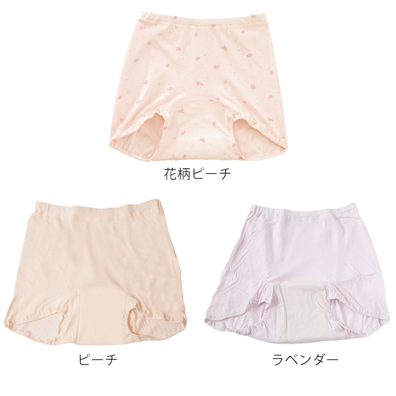 Suteteko 婦人 40cc対応 安心快適ズロース 2枚組 M~LL (中失禁 尿漏れ レディース パンティー 失禁パンツ 失禁ショーツ 吸水) (取寄せ)