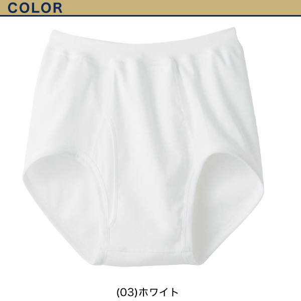 グンゼ 【2枚セット】快適工房 紳士スパンブリーフ 4L (大きいサイズあり GUNZE 綿100% コットン100 男性 紳士 下着 肌着 インナー やわらか 抗菌防臭 日本製) (在庫限り)