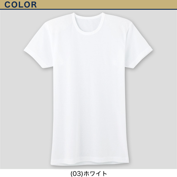 グンゼ 快適工房 紳士 半袖丸首シャツ 涼風綿 M・L (メンズ GUNZE 綿100% コットン 男性 下着 肌着 インナー クルーネック 夏 日本製)