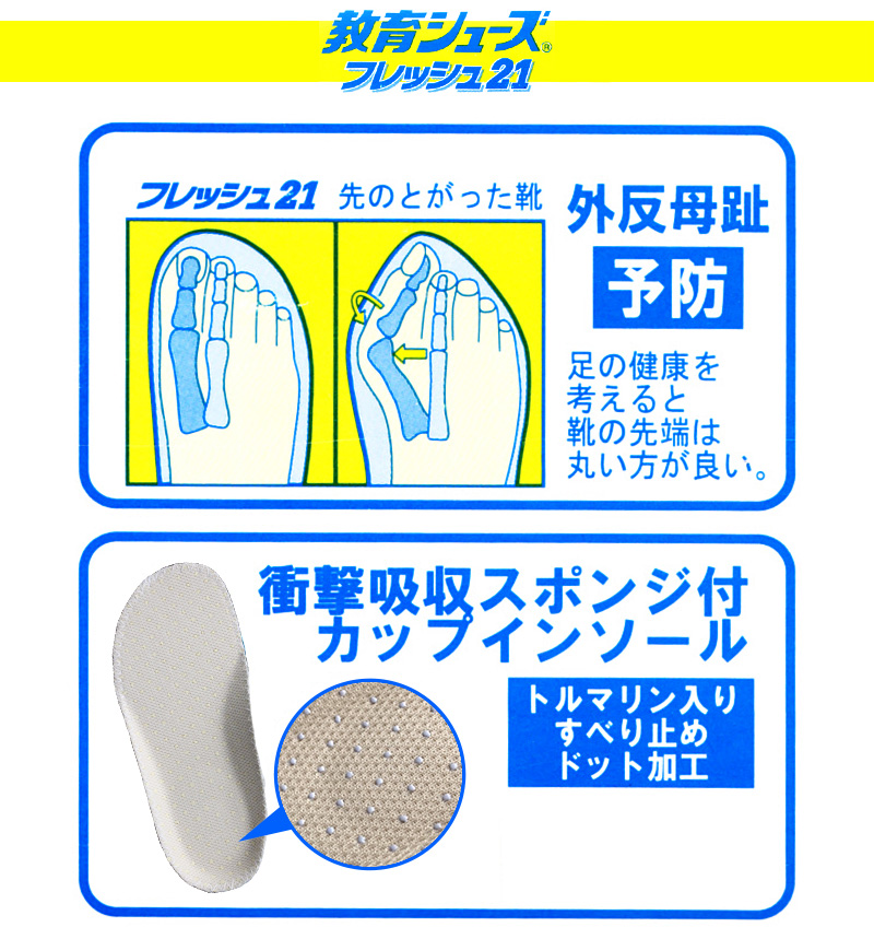 教育シューズ 上履き 内履き 白 お受験 15cm～27cm (外反母趾 内ズック 通学 学校 中学校 小学校 ジュニア 子供 16cm 17cm 18cm 19cm 20cm 21cm 22cm 23cm 24cm 25cm 26cm) (取寄せ)