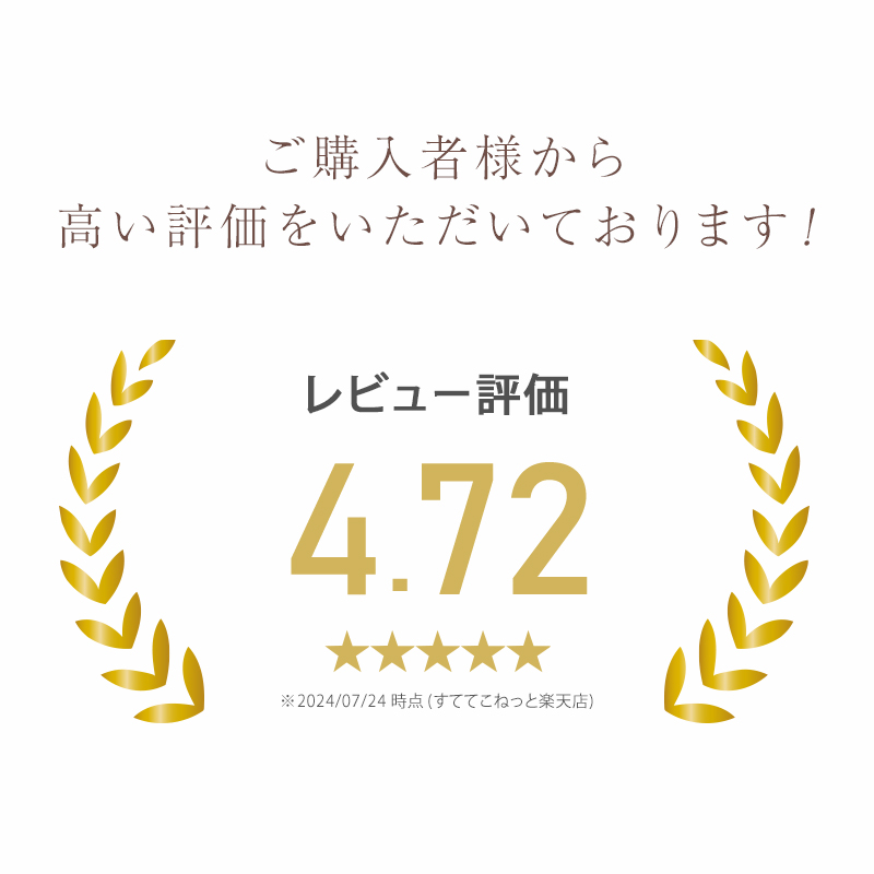 携帯スリッパ 折りたたみスリッパ 折り畳みスリッパ 収納ポーチ付き スリッパ 23-24.5cm ( 折り畳める 持ち運べる 屋内イベント 授業参観 レディース 婦人 23cm 24cm )