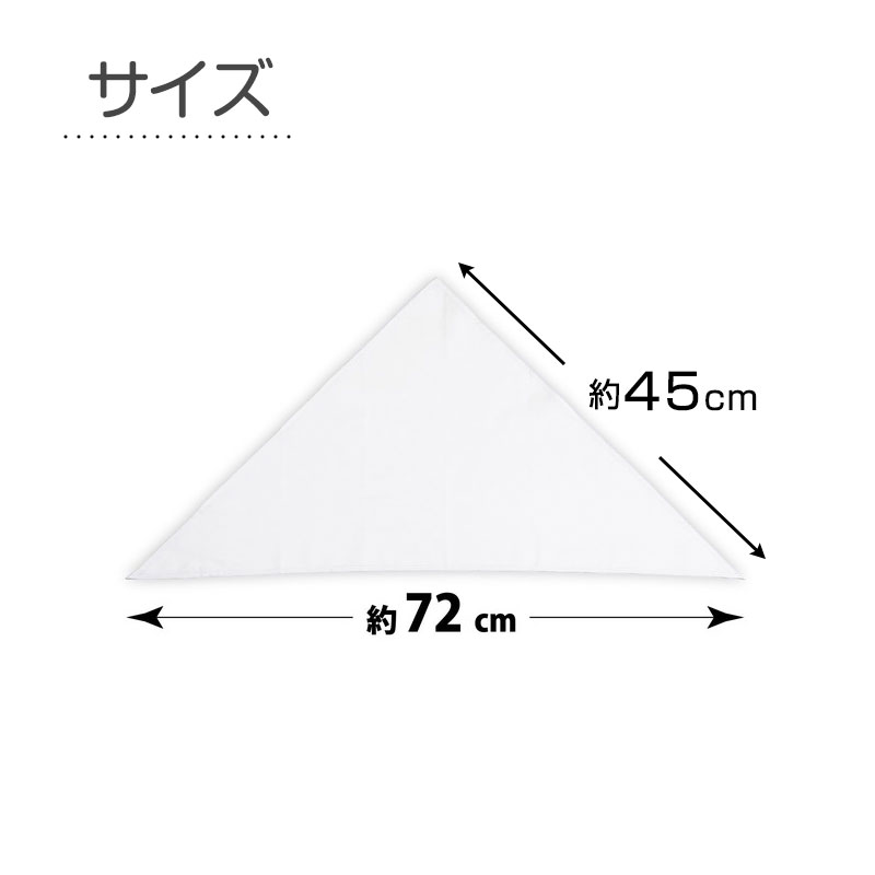 サニタリーショーツ ジュニア ポケット付き 子供 生理用ショーツ 中学生 小学生 羽つき対応 漏れない ウエストらく 140 150 160 165 女の子 女子 下着 生理用パンツ キッズ サニタリー パンツ ショーツ (在庫限り)