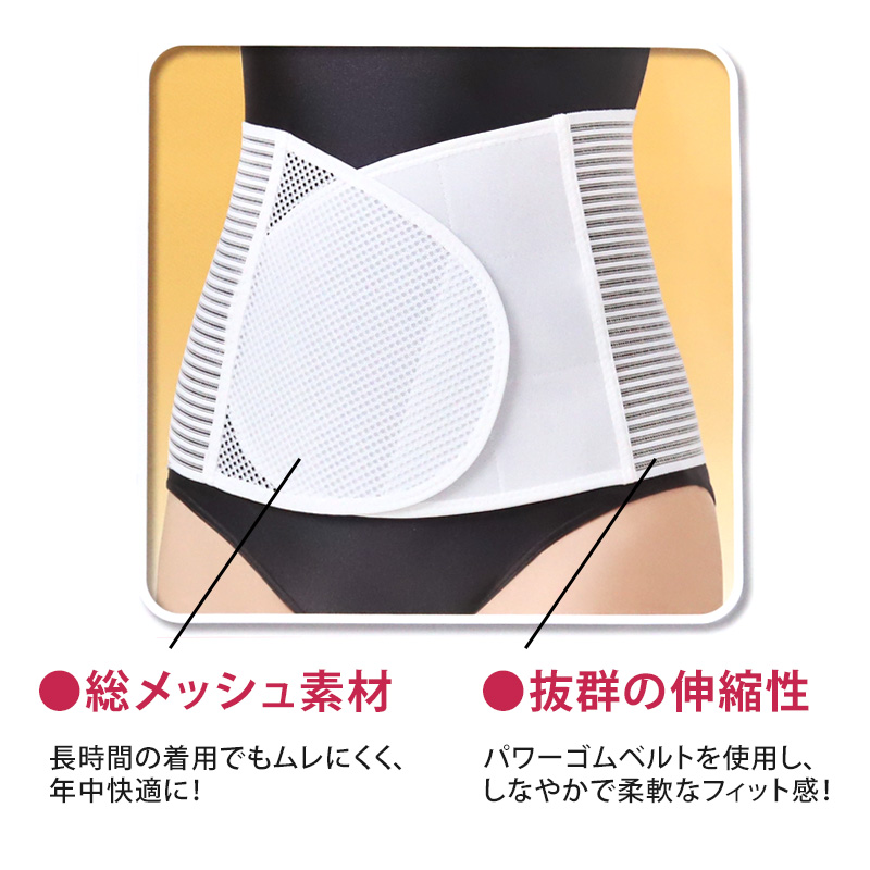 セルヴァン 固定ベルト 腰ベルト チタン サポーター シルバー シニア M～L・LL (ワンタッチ 男女兼用 腰痛 腰帯 リハビリ 介護 ベルト 補助ベルト 健康 整体 リハビリ 介護 ヘルスケア ヘルニア 中腰 ぎっくり腰 ギックリ腰 反り腰) (介護用品) (取寄せ)