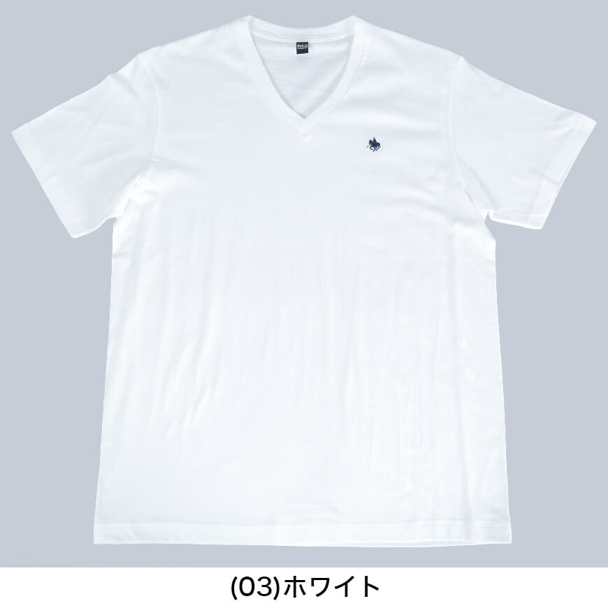 グンゼ POLO Tシャツ vネック メンズ 綿100% M～LL (tシャツ 半袖 シャツ 綿 下着 インナーシャツ V首 トップス 肌着 インナー ポロ)