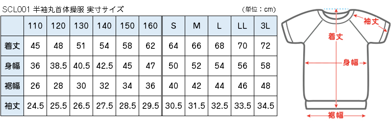 体操服 半袖 体操着 小学校 小学生 白 男子 女子 110～160cm 半そで 女の子 男の子 速乾 子供 キッズ 綿 運動着 体育 110 120 130 140 150 160 (送料無料)