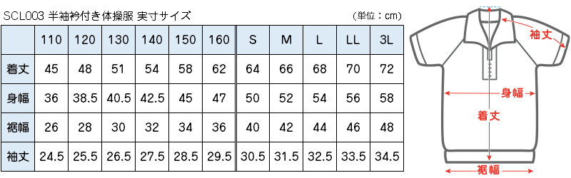 体操服 半袖 襟 小学生 小学校 体操着 男子 女子 110～160cm 運動着 白 女の子 男の子 ファスナー 襟付き 速乾 子供 綿 半そで キッズ 体育 (送料無料)