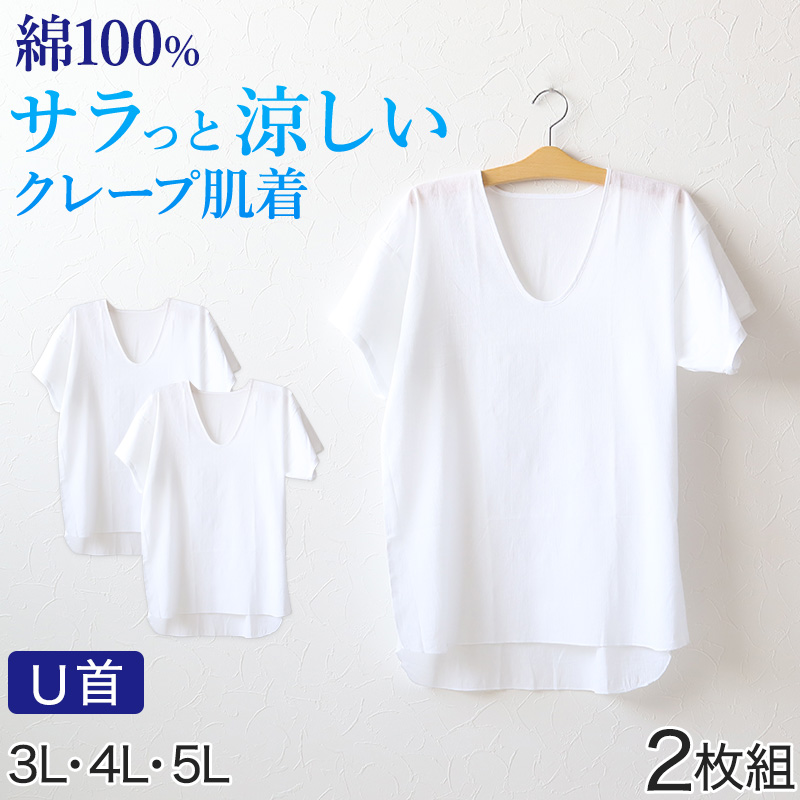 クレープ 波しぼ メンズ ステテコ 綿100% 2枚組 M~LL クレープ素材 クレープ肌着 紳士 男性 下着 ボトム インナー パンツ ズボン下 夏 肌着 すててこ M L LL (在庫限り)