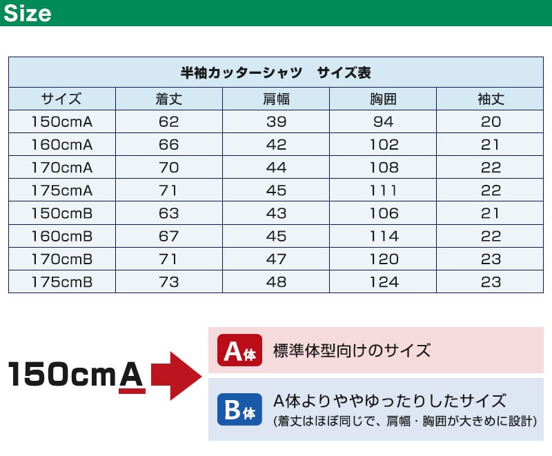 学生服 シャツ 女子 カッターシャツ 半袖 150cmA～175cmB (スクールシャツ 中学生 小学生 高校生 学生 制服 150 160 170 175)