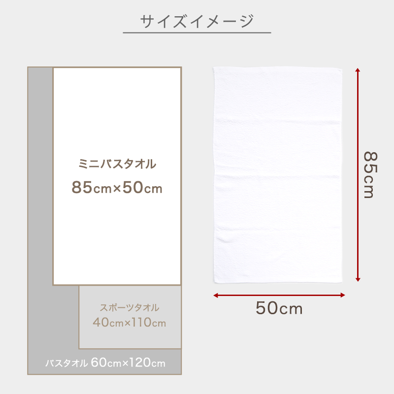 バスタオル 最薄手 420匁 約50cm×110cm コンパクト 乾きやすい 場所をとらない 薄手 綿100% 無地 入浴 お風呂 銭湯 子供用