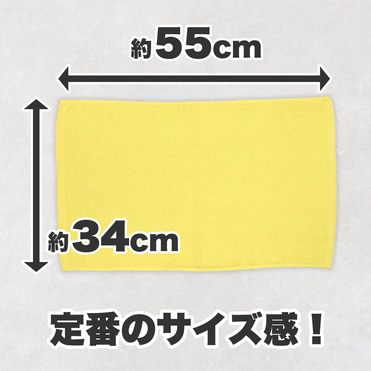 ショーツ レディース 綿 スパンショーツ 2枚組 M~3L (下着 女性 コットン パンツ ショーツ シンプル 無地 大きいサイズ 3l 肌着 インナー) (婦人肌着) (取寄せ)