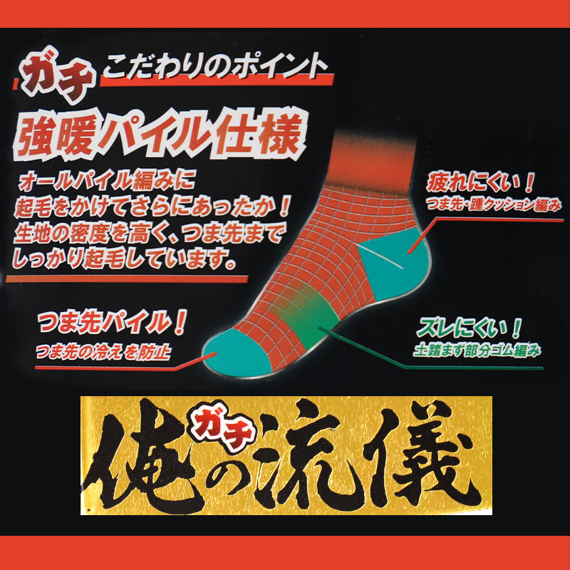 体操服 上下セット 半袖 ハーフパンツ 体操着 小学生 小学校 2点セット 110～160cm 上下 セット 男子 女子 半そで 半ズボン 短パン スクール 体育 衣替え 子供 子ども キッズ (送料無料)