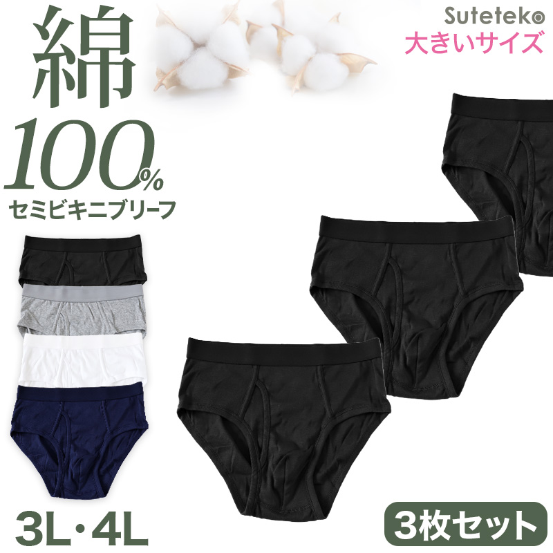 ブリーフ メンズ 綿100% パンツ スタンダード 前開き 3枚セット S M L LL 下着 インナー ブリーフパンツ 肌着 紳士肌着 男性 紳士 パンツ 綿100％ コットン 3枚組 まとめ売り