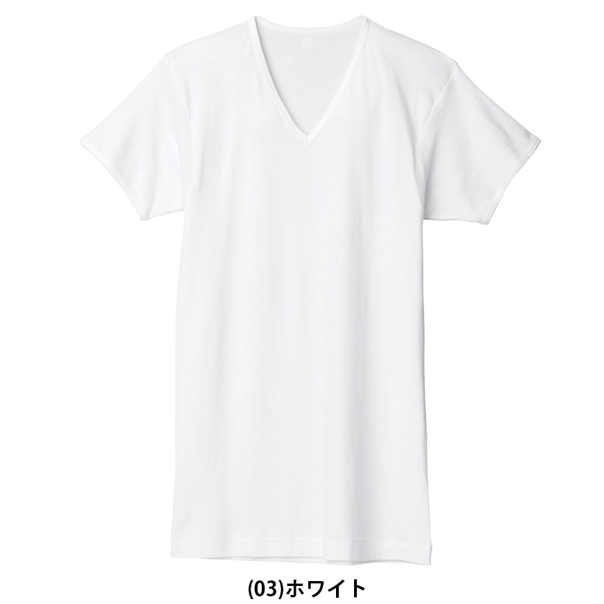 グンゼ やわらか肌着 半袖V首シャツ 2枚組 S～3L (下着 tシャツ 白 無地 V首 アンダーウェア コットン)