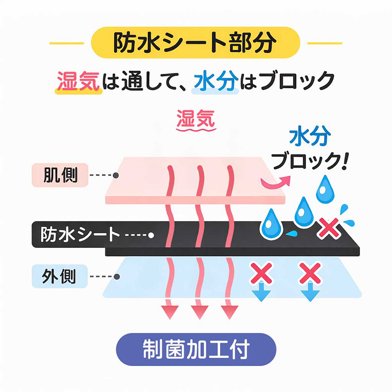 サニタリーショーツ 綿 夜用 深ばき 羽根つき 生理用ショーツ レディース 漏れない 蒸れない 後ろまで防水 M～LL 下着 生理用パンツ 生理ショーツ インナー 女性 婦人 パンツ ショーツ (在庫限り)