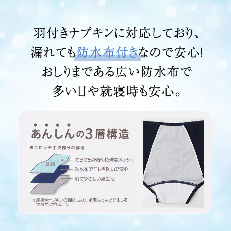 サニタリーショーツ 夜用 生理用ショーツ レディース メッシュ素材 防水布付き 羽付き対応 多い日 おしりまで防水 ストレッチ カシュクール ウエスト食い込み軽減 締め付けにくい ナイロン混 生理パンツ 生理用パンツ ナイト用 M L LL 就寝時