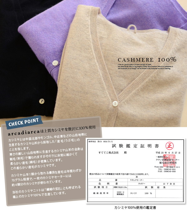 アルカディアルカ レディース 長袖 Vネックセーター M～3L (カシミア カシミア100% vネック Vネック きれいめ オフィス カジュアル  スクール トップス 大きいサイズ プルオーバー 秋冬) 下着・靴下・ストッキングのネット卸売 すててこ問屋